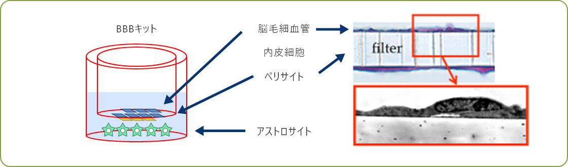 模式図3