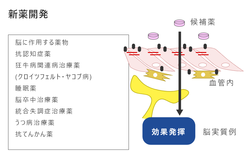 新薬開発イメージ