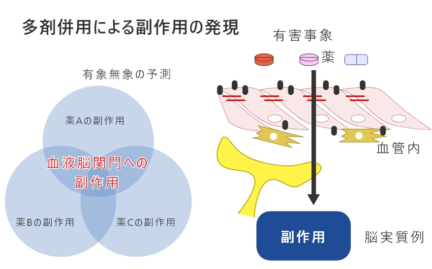 多剤併用による副作用の発言イメージ