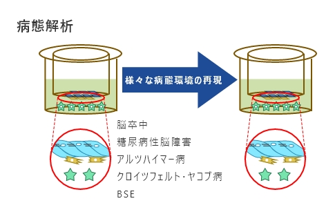 病態解析イメージ