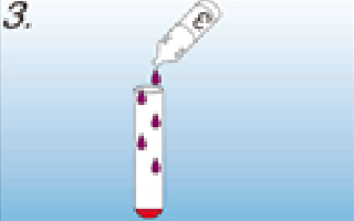抽出試薬3を小試験管に5滴（250μL）加え、試験管ミキサーで10～15秒間撹拌する。