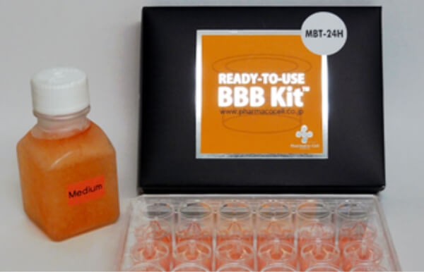 血液脳関門 in vitro 再構成モデル ＢＢＢキット