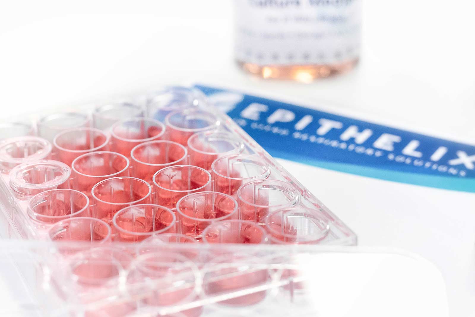 ヒト気道上皮 in vitro 3D再構成モデル MucilAir